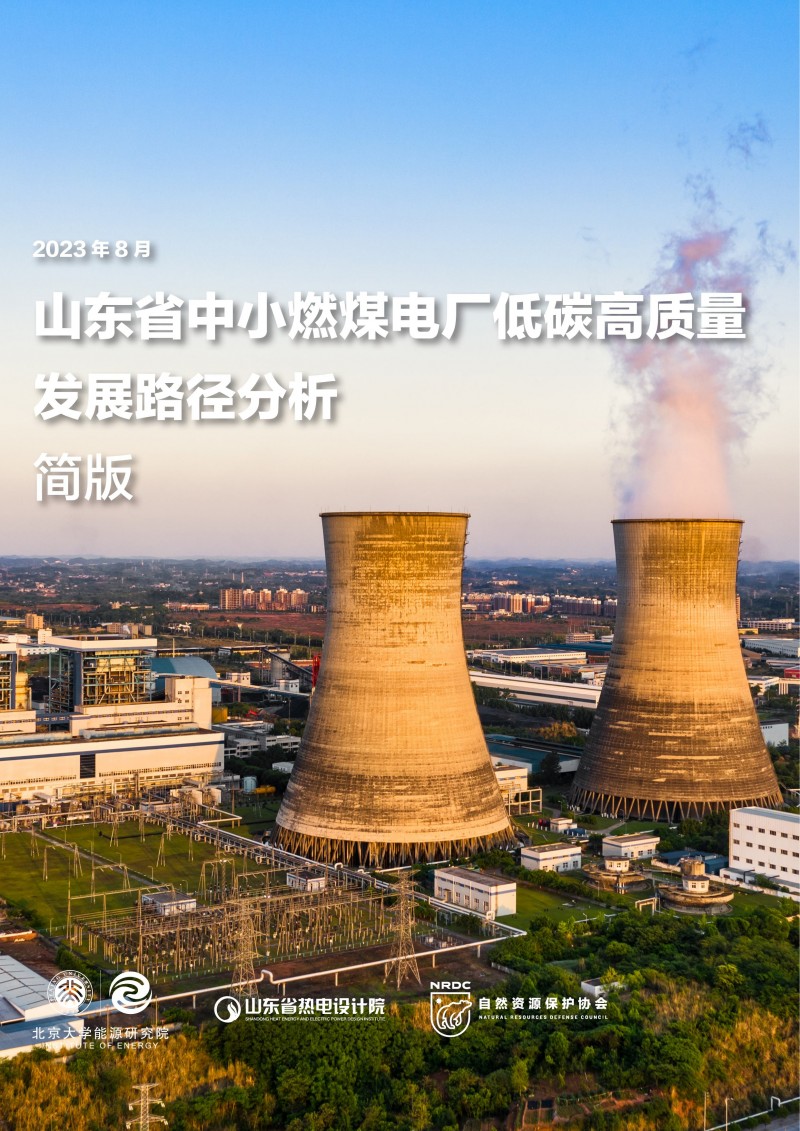 执行报告-山东省中小燃煤电厂低碳高质量发展路径分析-01